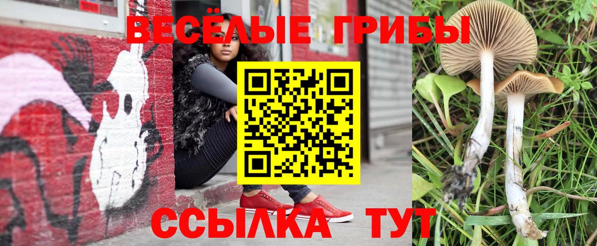 Рузаевка  Псилоцибиновые грибы Psilocybine cubensis  сколько стоит  Вход с VPN 